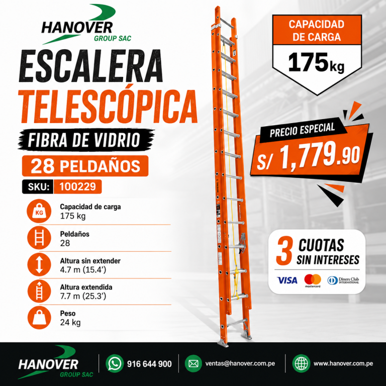 Escalera_Telesc_28pasos_100229